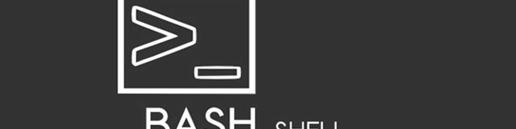 An introduction to Bash shell