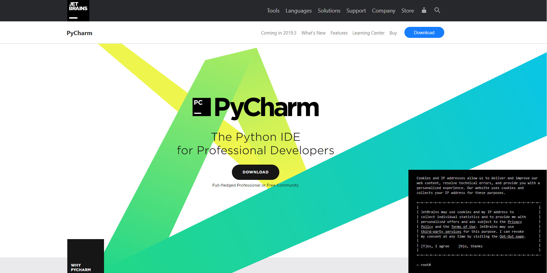 pycharm community vs professional