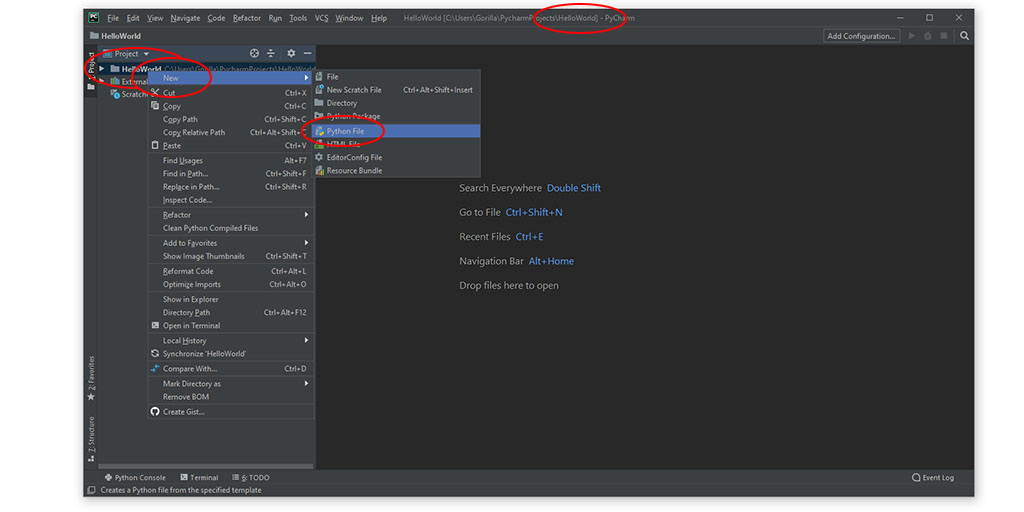 instal the new version for ios PyCharm