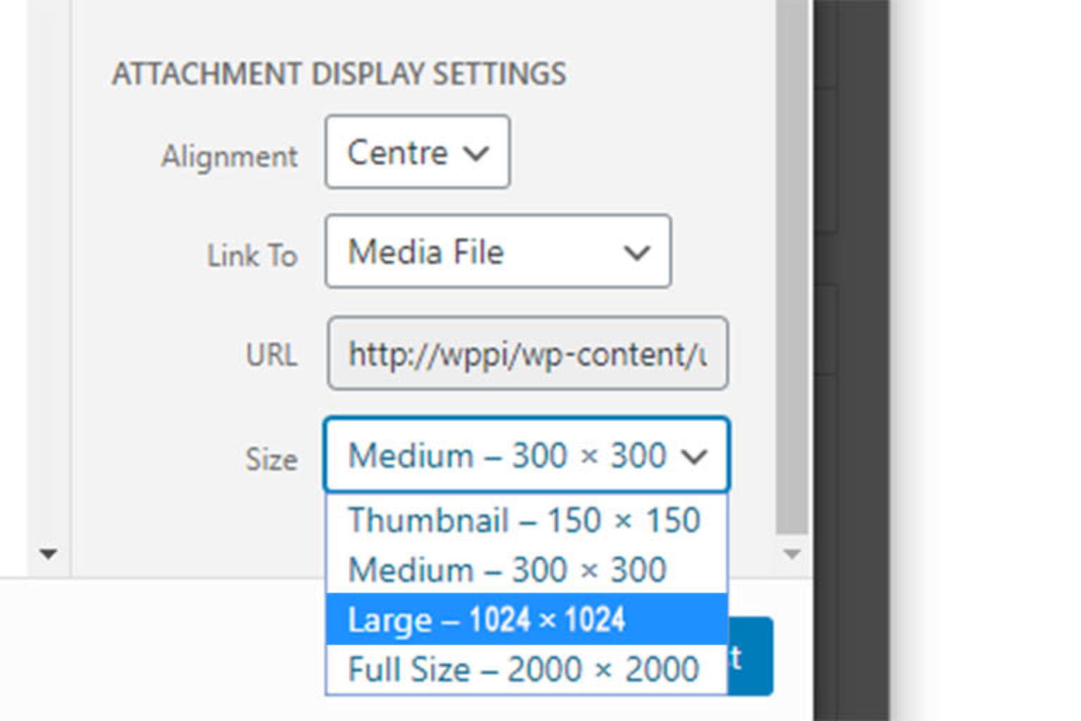 Custom image sizes in WordPress Behind The Scenes